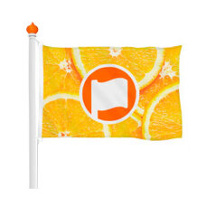 Flagge 100x70cm